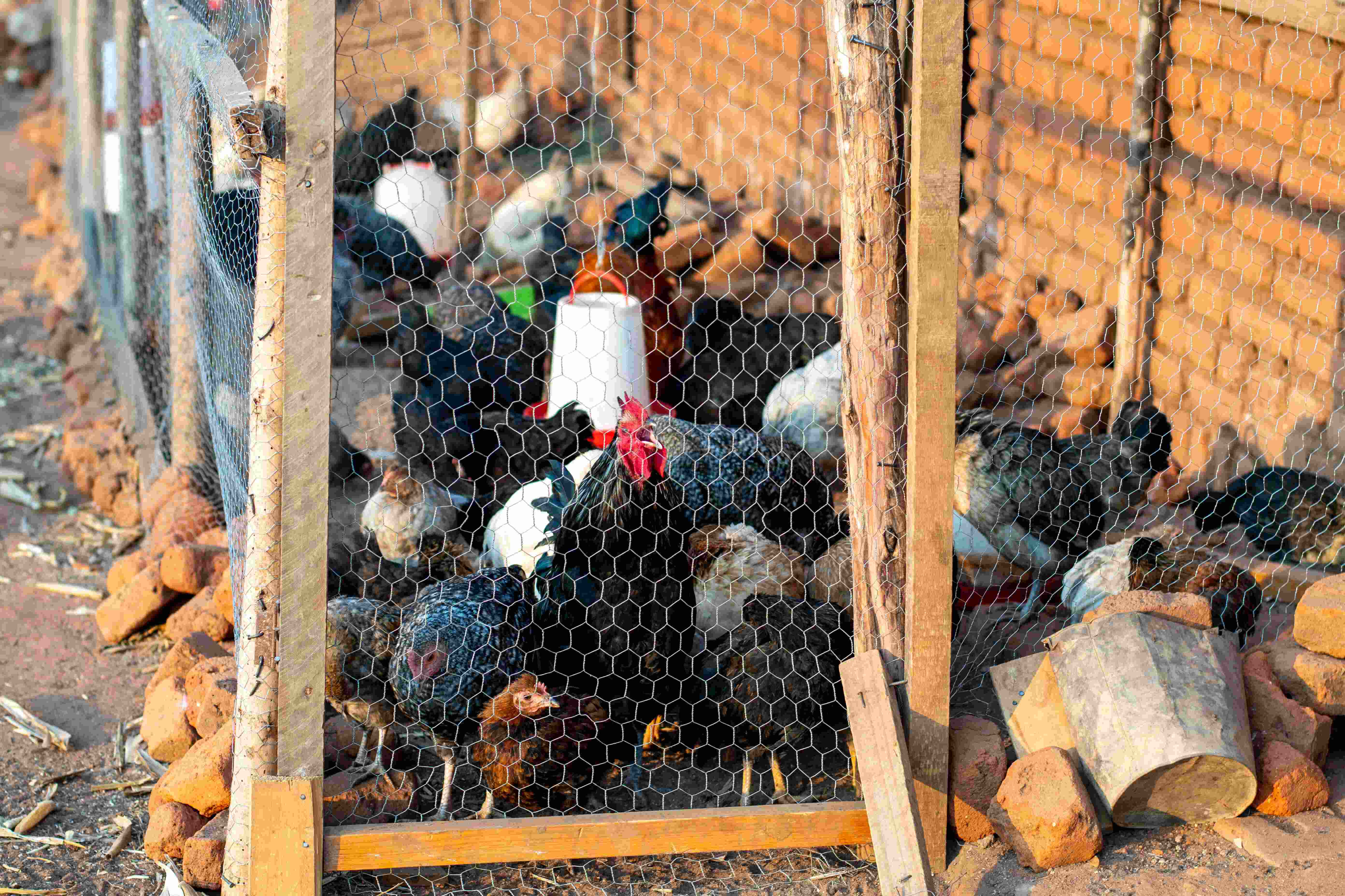 Factory Worker Inspecting Products